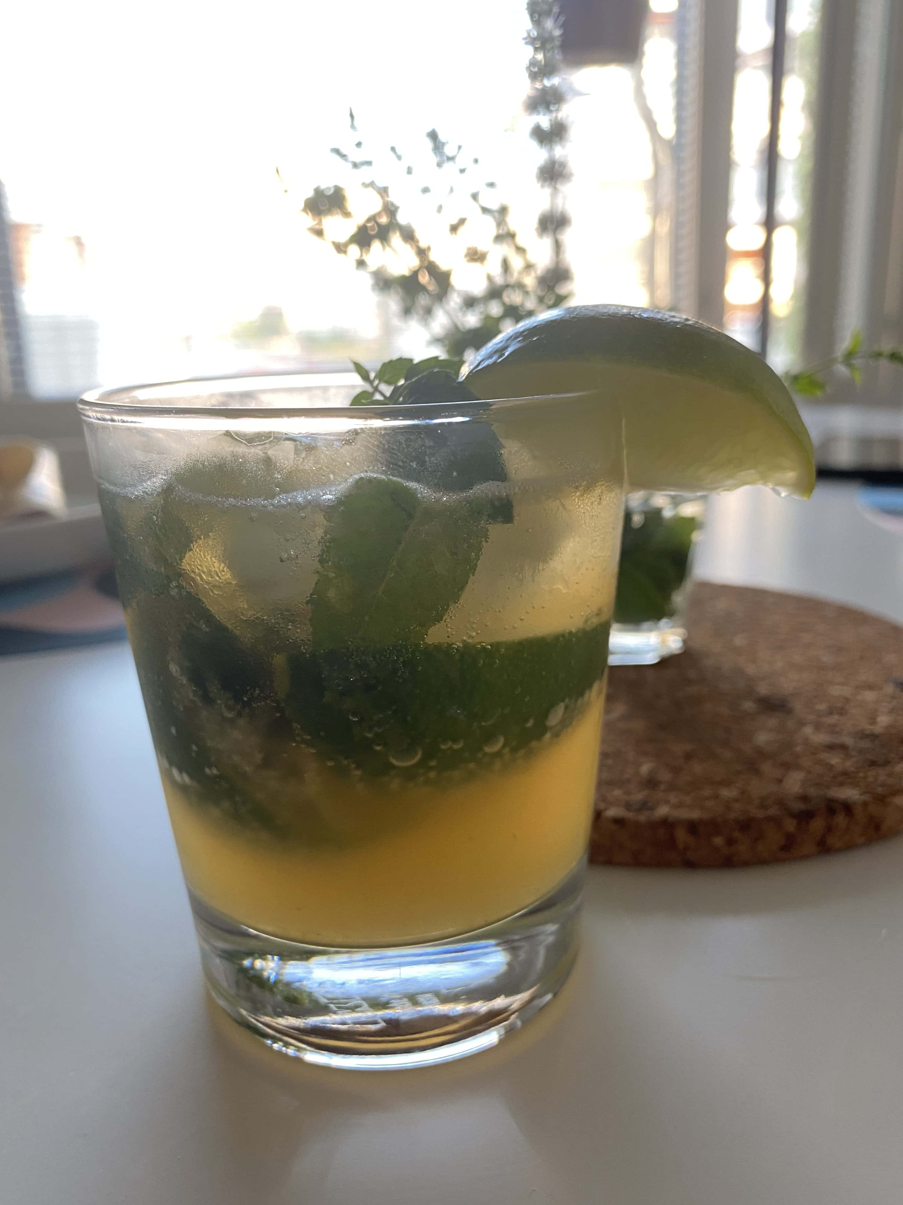 sugar free mojito rotated